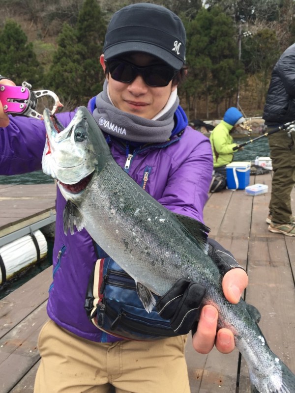 氷室　サクラマス